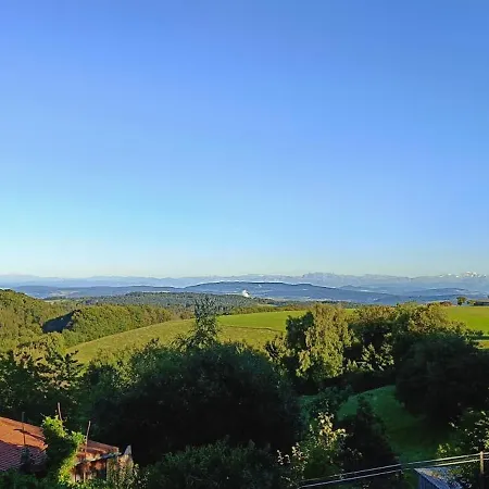 Rudigier アパート *